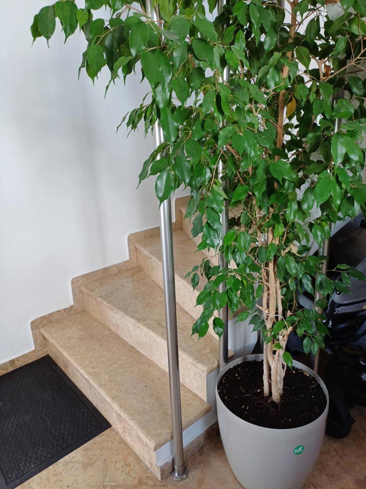 Luxury Apartment Амаринтос Екстериор снимка